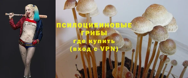 Альфа ПВП Аркадак