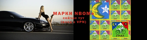 Альфа ПВП Аркадак