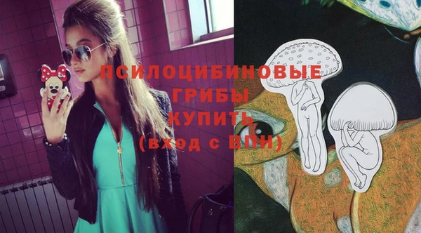 Альфа ПВП Аркадак