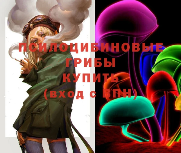 соль ск Армянск