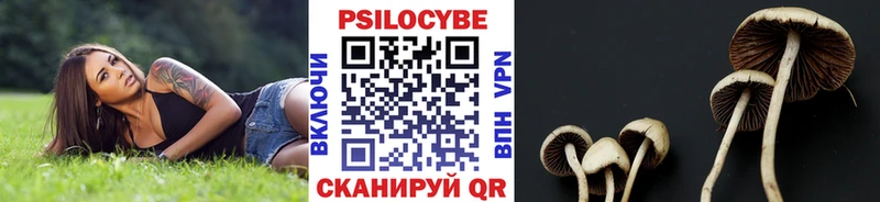 mega ТОР  как найти закладки  Цоци-Юрт  Галлюциногенные грибы мухоморы 