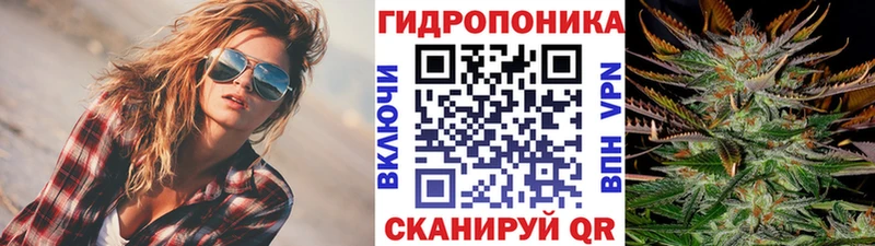 Шишки марихуана конопля  Цоци-Юрт 